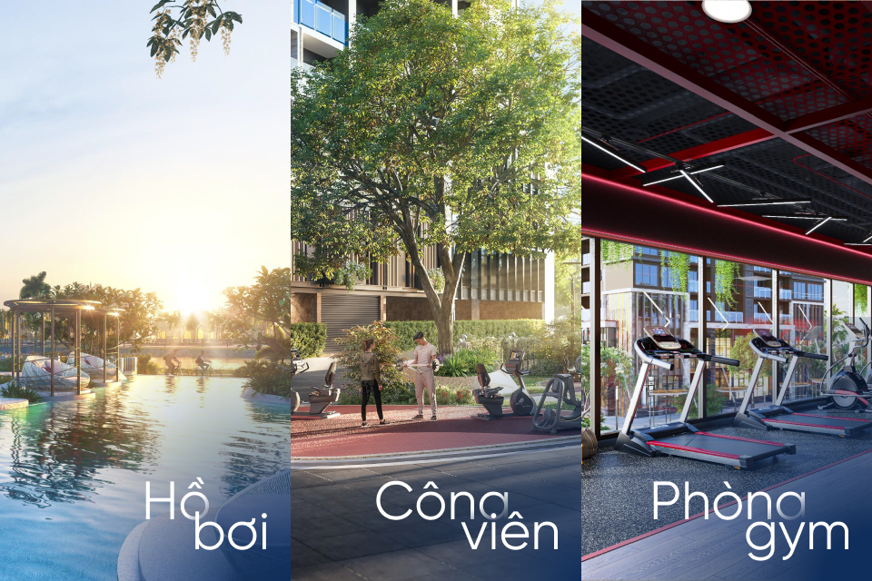 Hình ảnh dự án 3